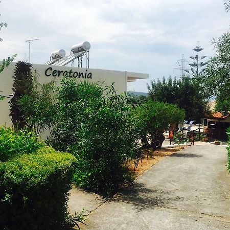 Ceratonia Apartment Malia Exterior foto