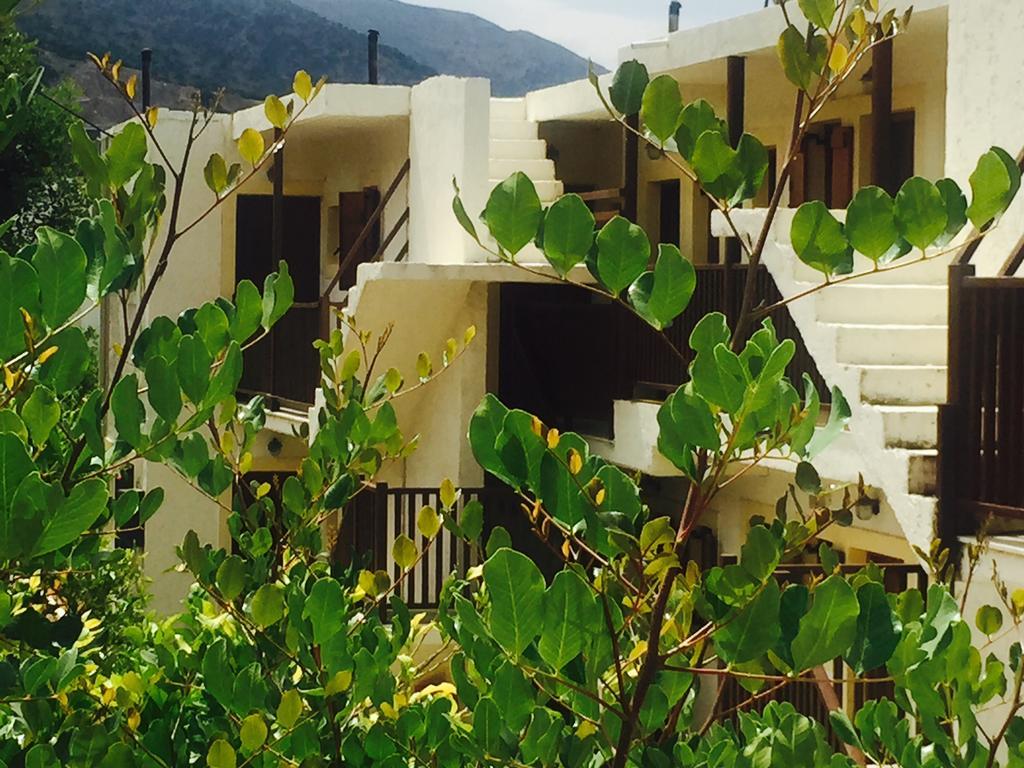 Ceratonia Apartment Malia Exterior foto